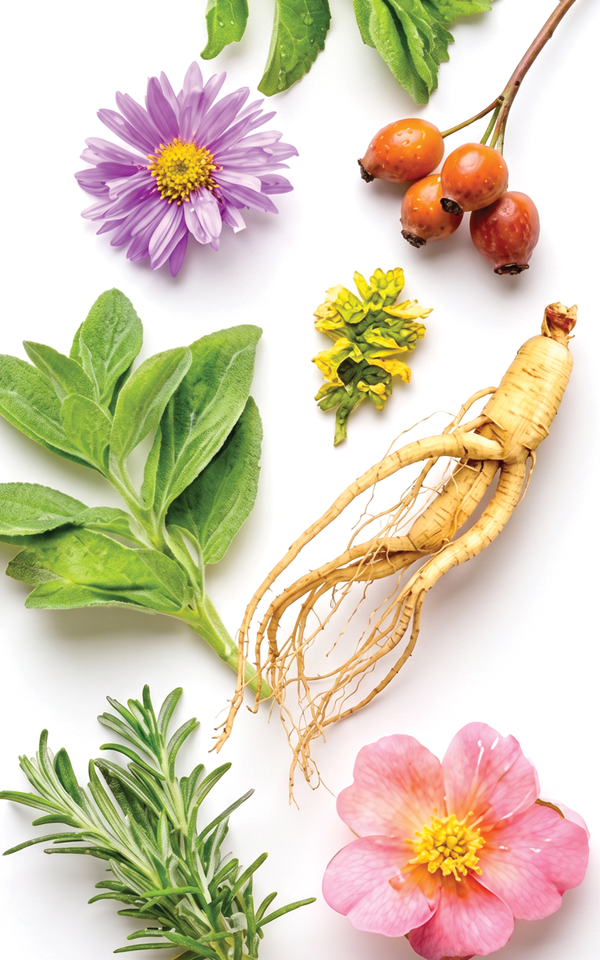 22 Organic Extracts