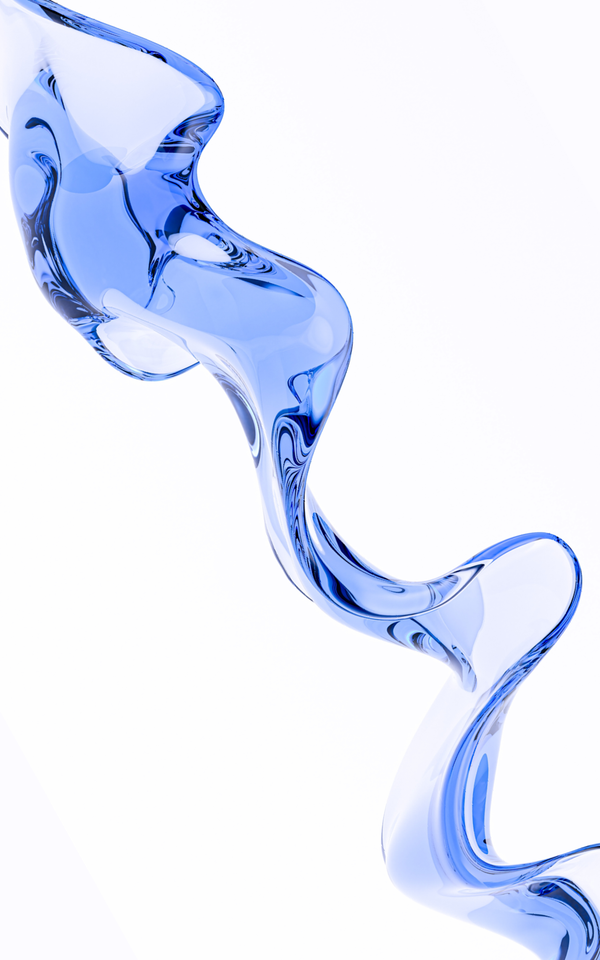 Fermented Deinococcus Extract