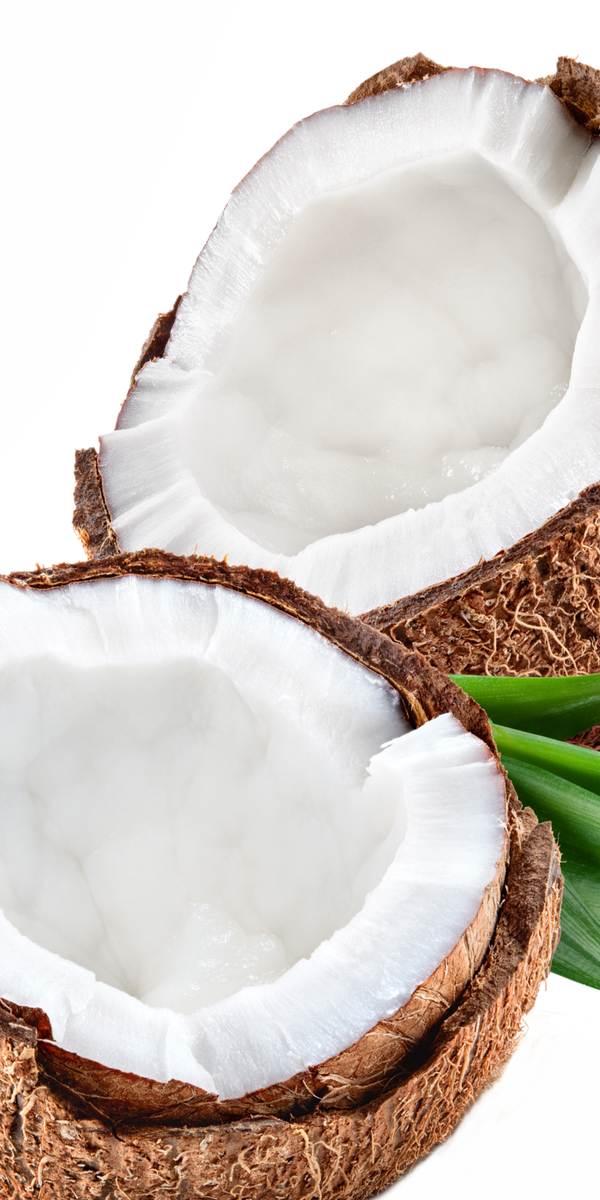 Coconut Complex