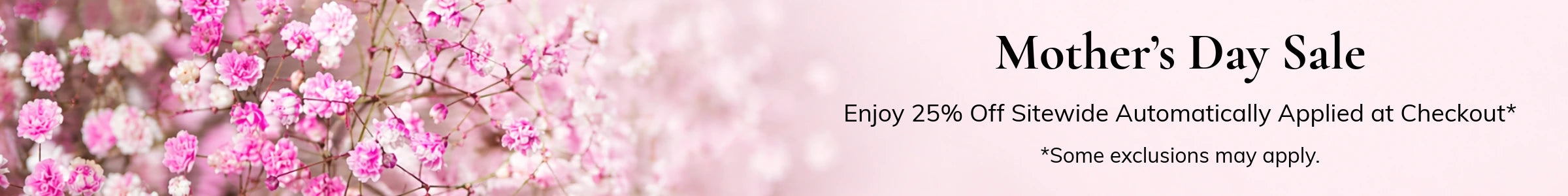 Promo banner